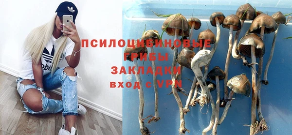 a pvp Арсеньев