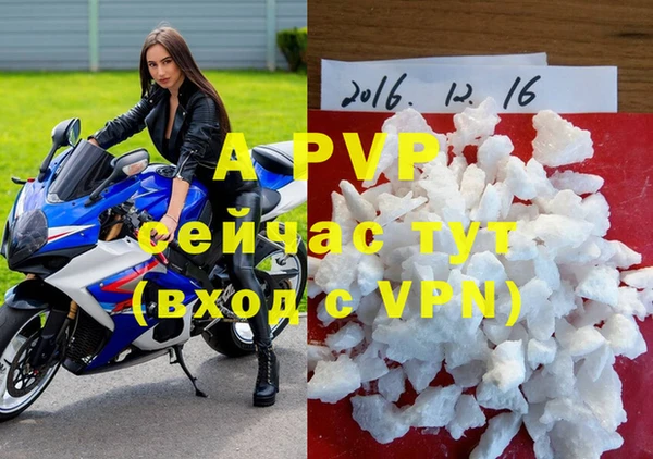 гидра Аркадак