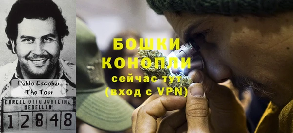 гидра Аркадак